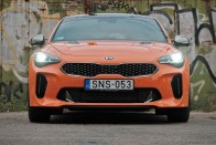 Kihalásra ítélt állatfaj – Kia Stinger 3