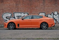 Kihalásra ítélt állatfaj – Kia Stinger 47