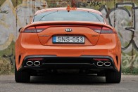 Kihalásra ítélt állatfaj – Kia Stinger 48