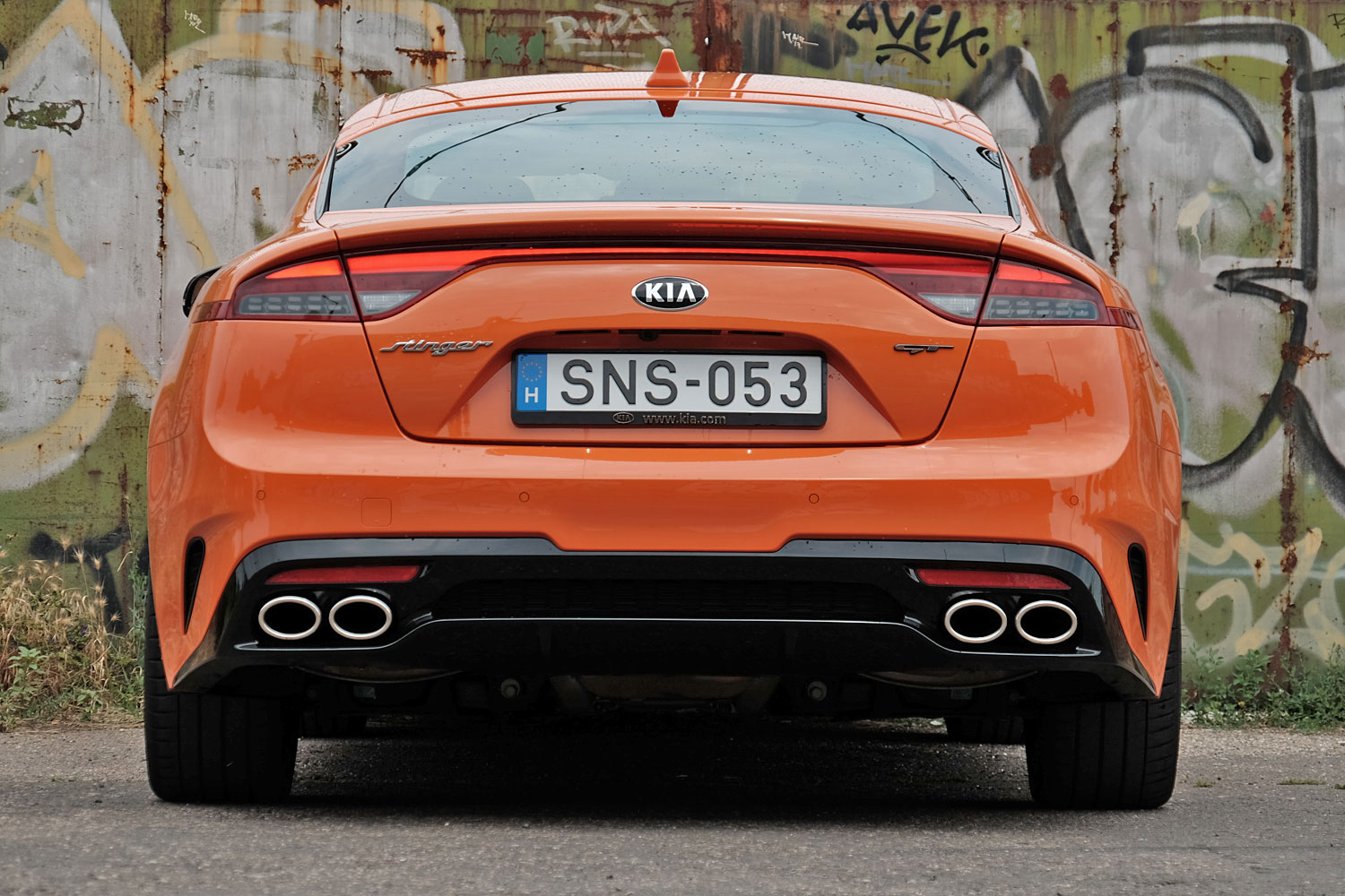 Kihalásra ítélt állatfaj – Kia Stinger 7