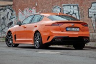 Kihalásra ítélt állatfaj – Kia Stinger 49