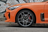 Kihalásra ítélt állatfaj – Kia Stinger 50