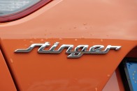 Kihalásra ítélt állatfaj – Kia Stinger 56