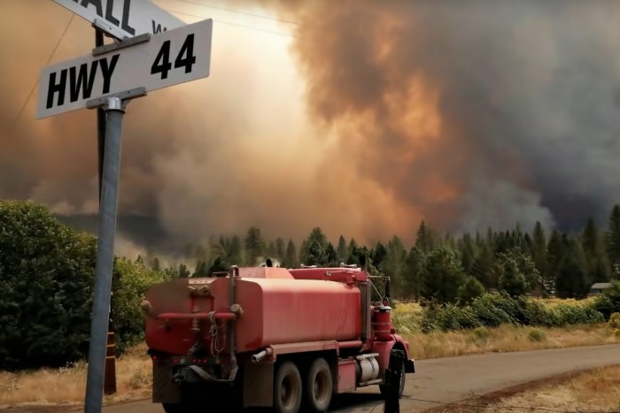 Takaróval védik a lángoktól a világ legnagyobb fáját