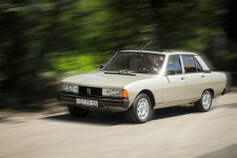 Elnöki örömök egy magyar családnál