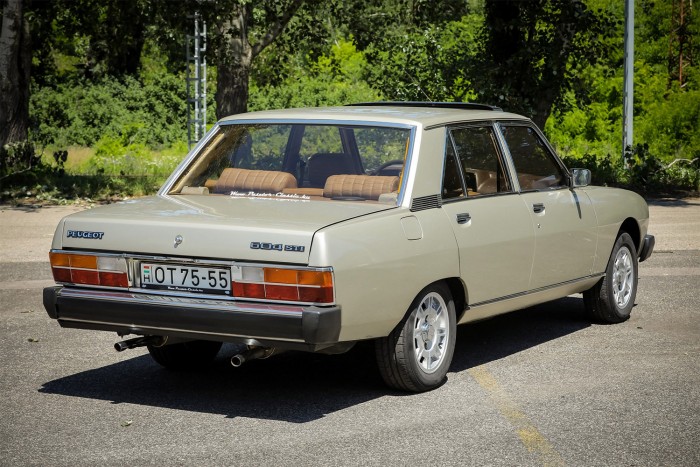 Elnöki örömök egy magyar családnál 2