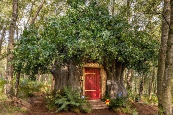 Bárki megszállhat Micimackónál a Százholdas pagonyban