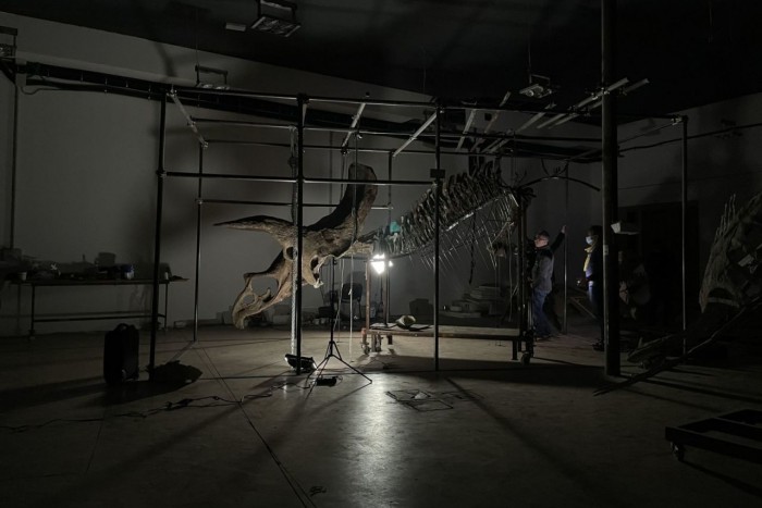 Eladják a rekorder dinoszaurusz-csontvázat