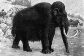 Hat év múlva már mamutokat simogathatunk