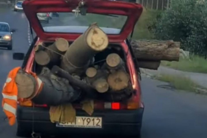 A fél erdőt belepasszírozták egy szerencsétlen Fiatba