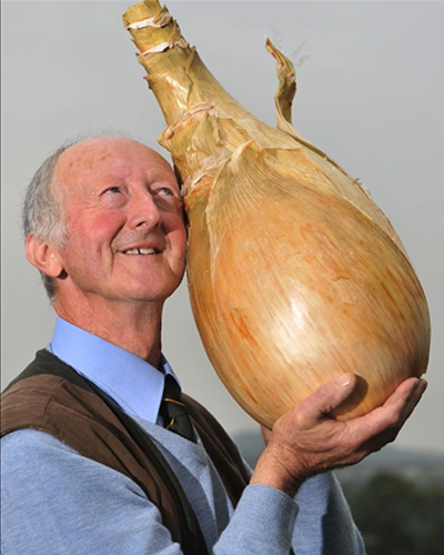 Sorra dőltek a rekordok az óriás zöldségek fesztiválján 1 | Vezess Sorra dőltek a rekordok az óriás zöldségek fesztiválján 1