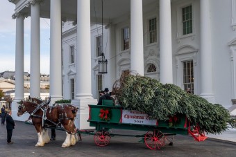 Megvette a karácsonyfát az amerikai elnök, sokba került