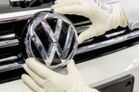 Birkák dolgoznak a Volkswagennél 8