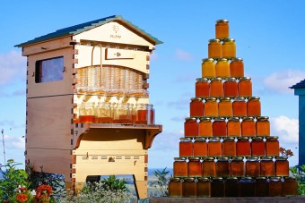 Még a laikusoknak is leesik az álla ettől a kaptártól