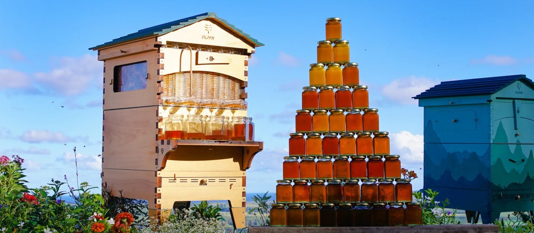 Még a laikusoknak is leesik az álla ettől a kaptártól