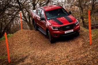 Csodálatos kis faunát rejt a Hungaroring erdeje