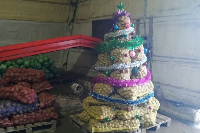 Hangosan felnevettünk ezeken a karácsonyfákon