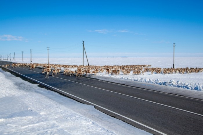 Élet-halál harc közlekedni a kőkemény orosz télben 30