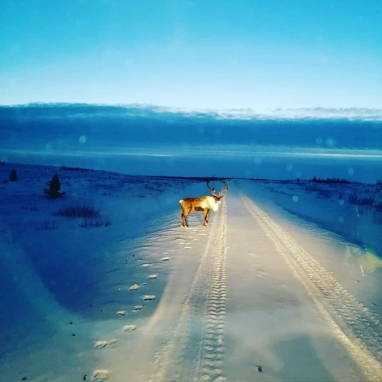 Élet-halál harc közlekedni a kőkemény orosz télben 29
