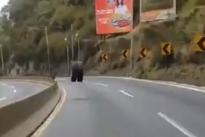 Halálos veszélyként zúgott le a hegyről a kiszakadt kerék