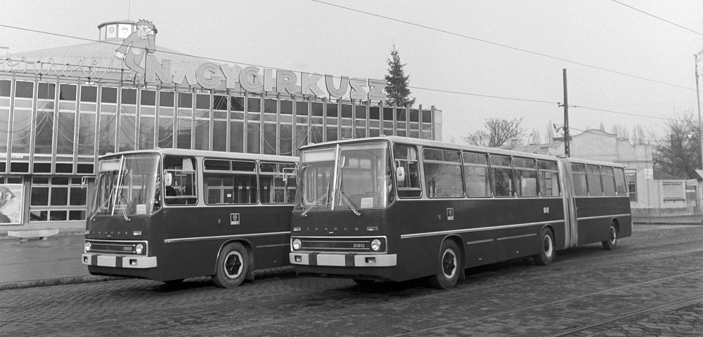 Félévszázada közlekednek Ikarus 200-asok Budapesten
