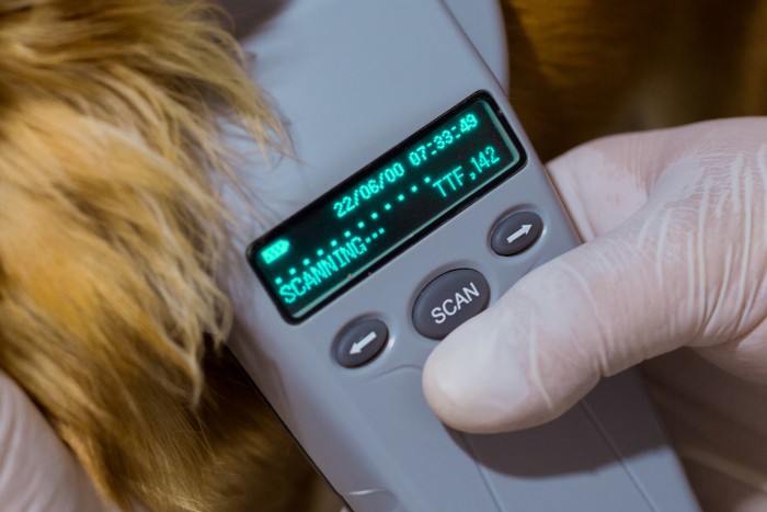 Még több benzinkútra kerül ebből a kütyüből