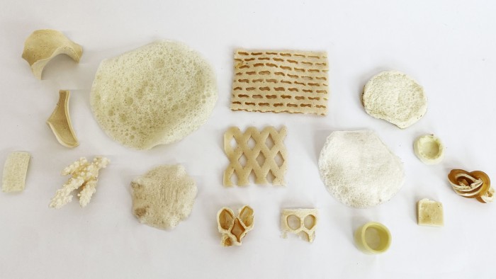 Lisztkukacból lehet a jövő üdítőspohara 1