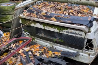 Ebben a roncsokkal teli erdőben sírva fakadnának a Volkswagen-rajongók
