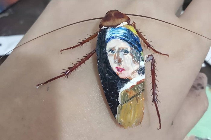 Csótányok hátára fest egy művész