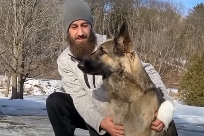 Kutya hívta a rendőröket gazdája autóbalesetéhez