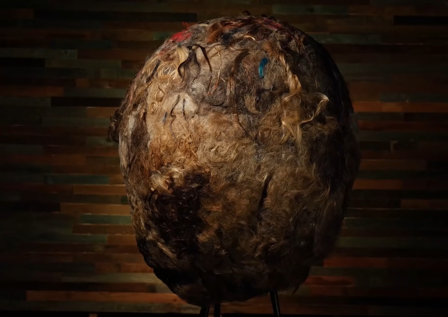 Bizarr teremtmény a világ legnagyobb hajgombóca 1