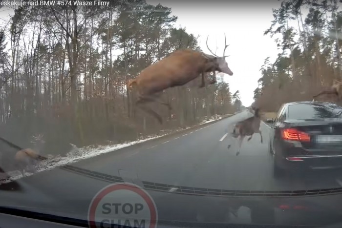 Érkeznek az új rendszámok, nagy változás a hazai jogosítványoknál 3
