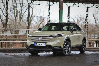 Jót akartak neked, ezért nincs választásod