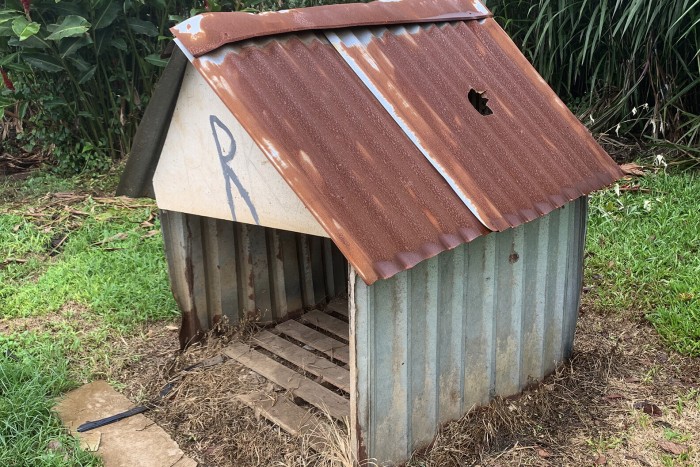 Egy vagyont érhet ez az ütött-kopott kutyaház