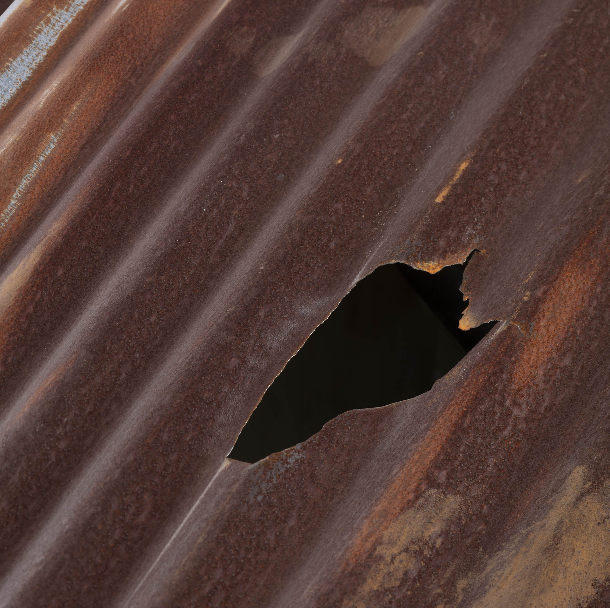 Egy vagyont érhet ez az ütött-kopott kutyaház 2