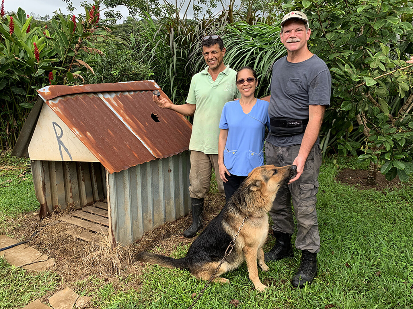 Egy vagyont érhet ez az ütött-kopott kutyaház 1