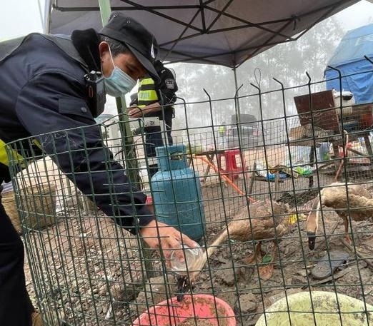 Libákkal őrzik az országhatárt 2 | Vezess Libákkal őrzik az országhatárt 2