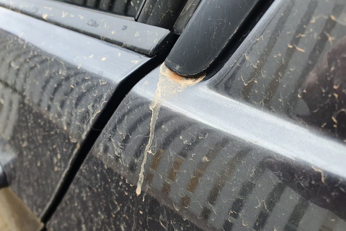 Megint ilyen fotókkal lesz tele a magyar internet