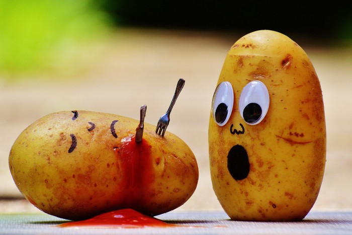 Azt hitték, rekordméretű burgonya, de nem az volt