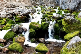 15 percenként elapad ennek a pataknak a vize