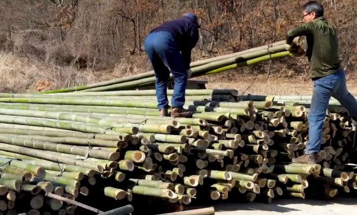 Elképesztő összeget kérnek a világ legdrágább sójáért 1
