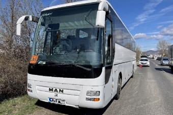 Ovisokat szállító busz előtt büntetőfékezett Szentendrén, aztán tudta még fokozni is