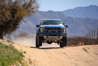 Újabb önjelölt kaszkadőr kapott gerinctörő leckét