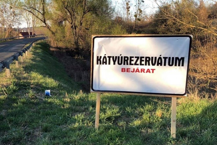 Apja BMW M5-ösével okozott balesetet a magyar lány, lelépett a helyszínről 2 | Vezess Apja BMW M5-ösével okozott balesetet a magyar lány, lelépett a helyszínről 2