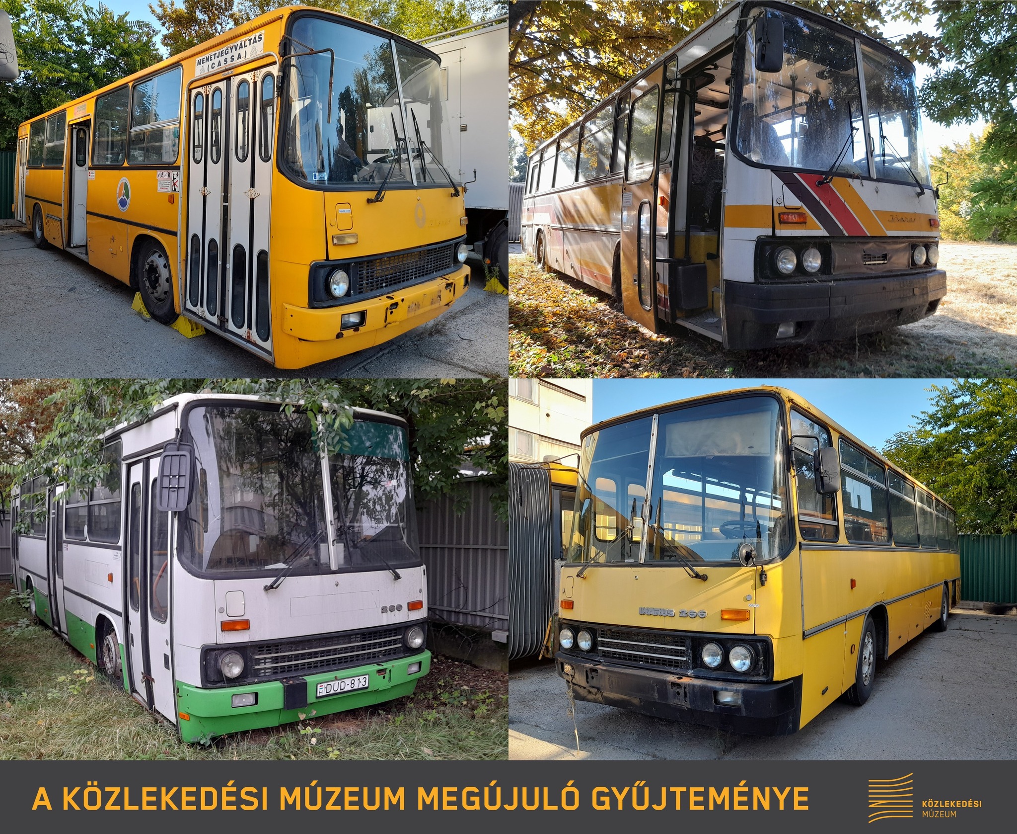 Legendás Ikarusok újulhatnak meg hamarosan 1 | Vezess Legendás Ikarusok újulhatnak meg hamarosan 1