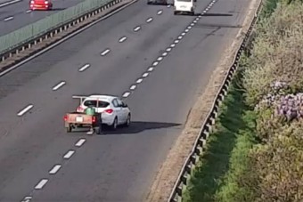 Szép orgonát látott az M1-es mellett, kitette a vészvillogót, és rögtön cselekednie kellett