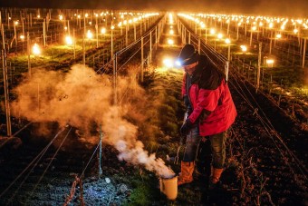 Tűzzel védik a veszélyben lévő francia borokat 