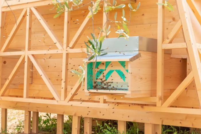 Aludnál centikre egy nyüzsgő méhkastól?