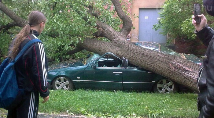 Balga vagy okos döntés használt dízelt venni a családnak hosszú távra? 5