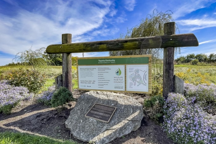Megköszönik a méhek, amit értük tesz az autógyártó